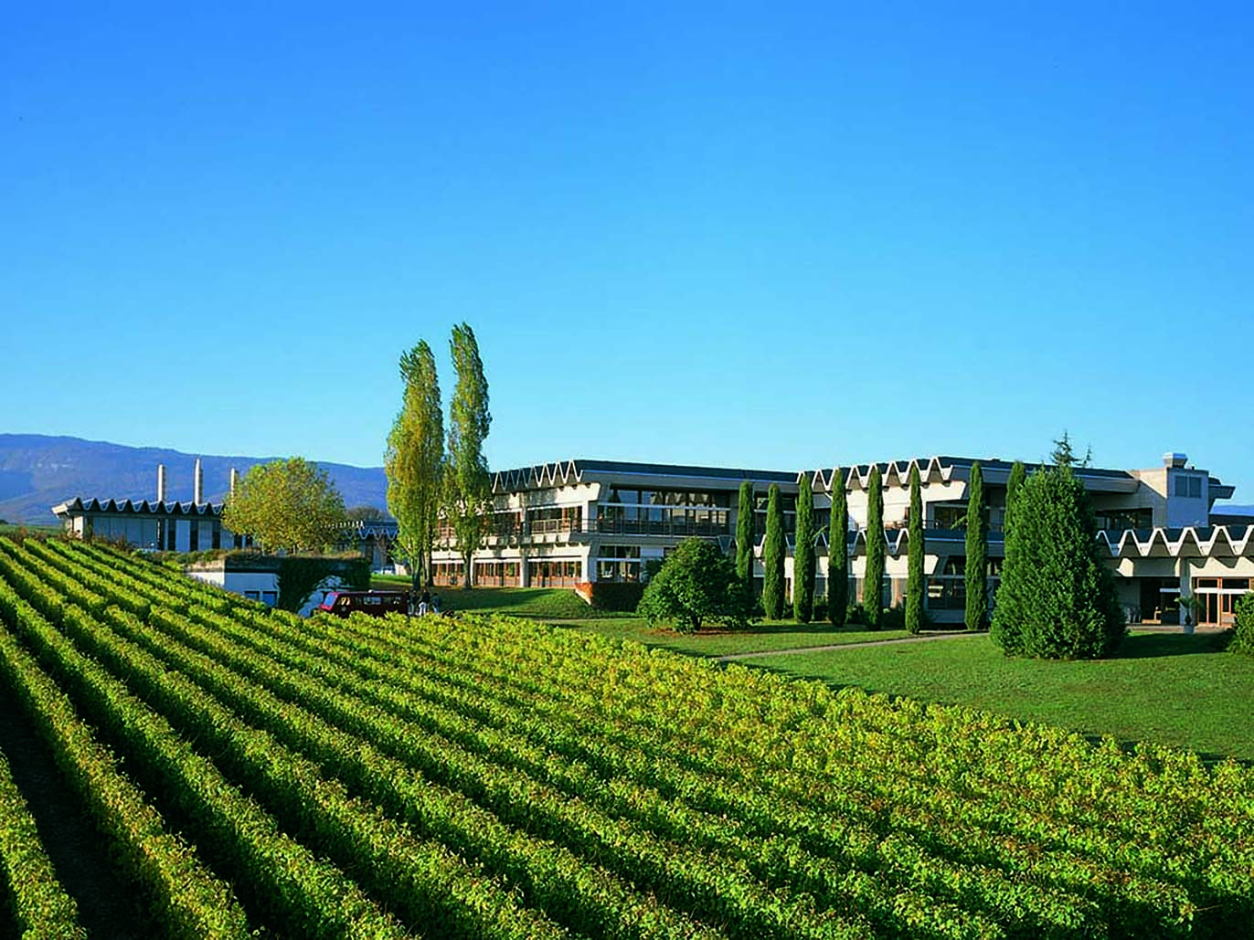Pour une meilleure compréhension du marché suisse des vins: l’Observatoire suisse du marché des vins (OSMV)