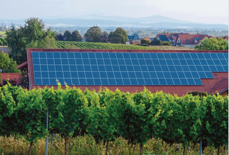 Energie et durabilité en cave viticole
