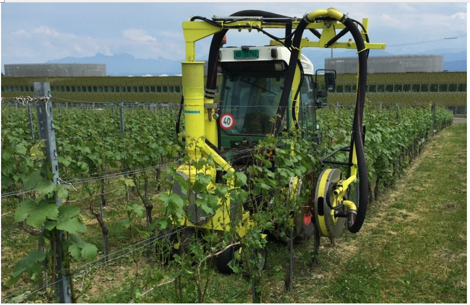 L'effeuillage mécanique de la vigne avant floraison: intérêts et risques