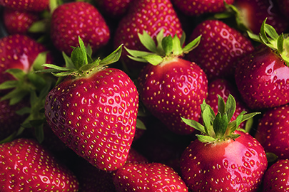 Ozonbehandlung von Erdbeeren und Himbeeren