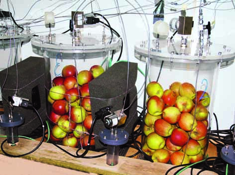 Control of the critical oxygen level during dynamic CA storage of apples