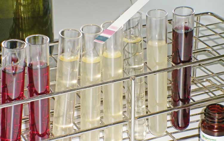 Evaluation d’appareils destinés à la pratique pour la mesure de l’acide malique dans les moûts et les vins