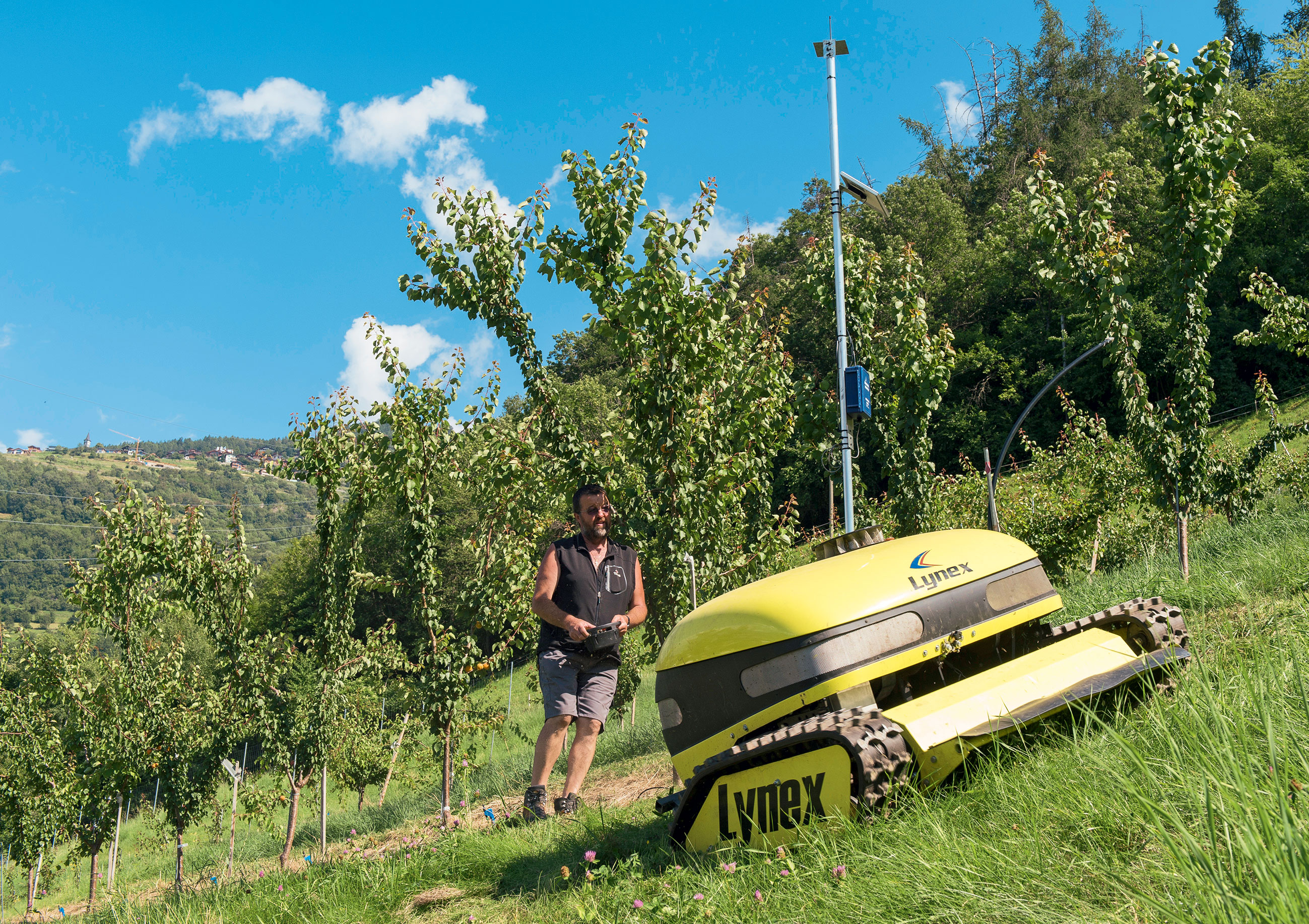 Stakes for the apricot sector in Valais: importance of the producer’s price on the farm viability