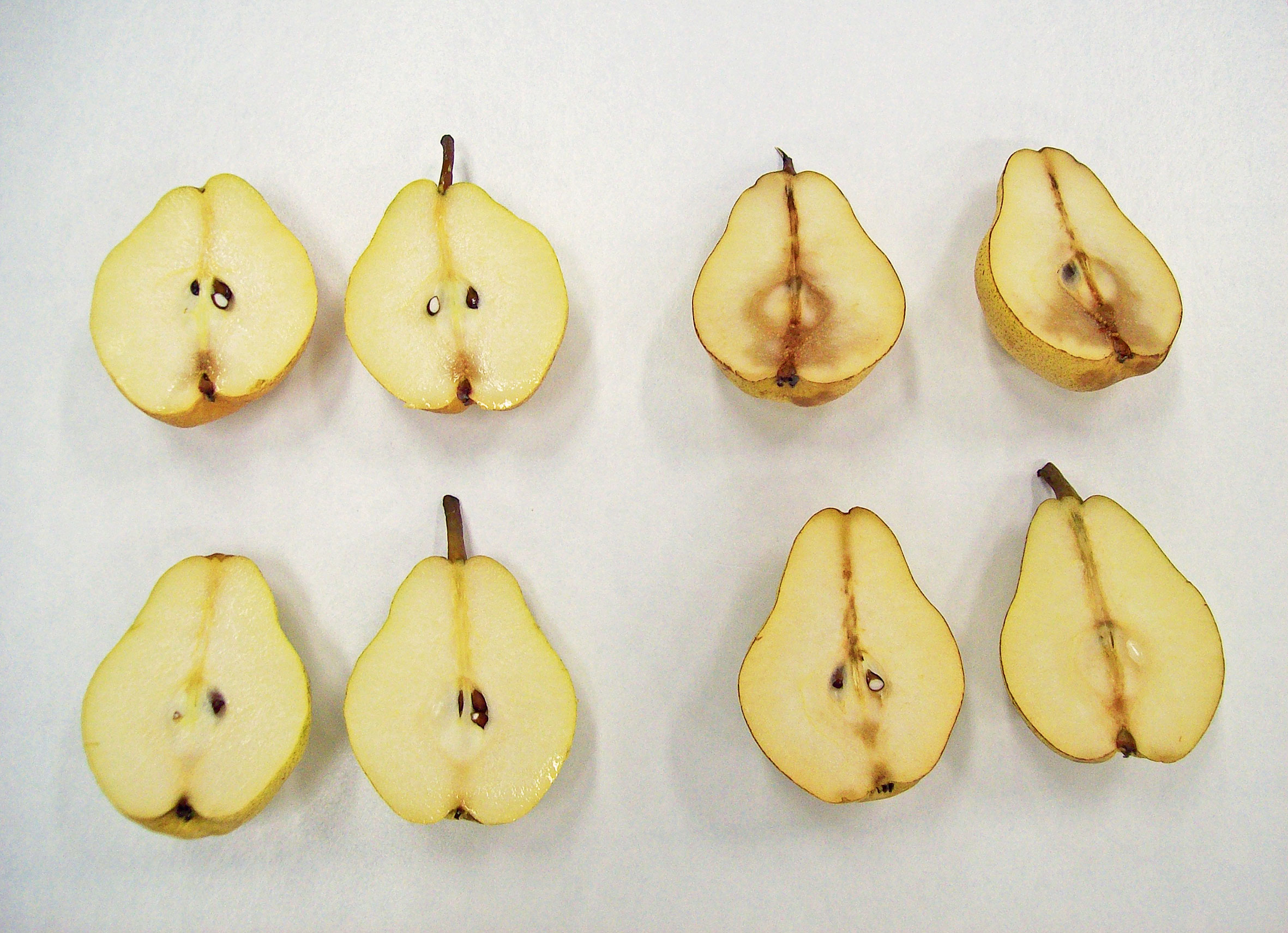 Effet du traitement au 1-MCP sur l’évolution de la qualité des poires durant l’entreposage et l’affinage