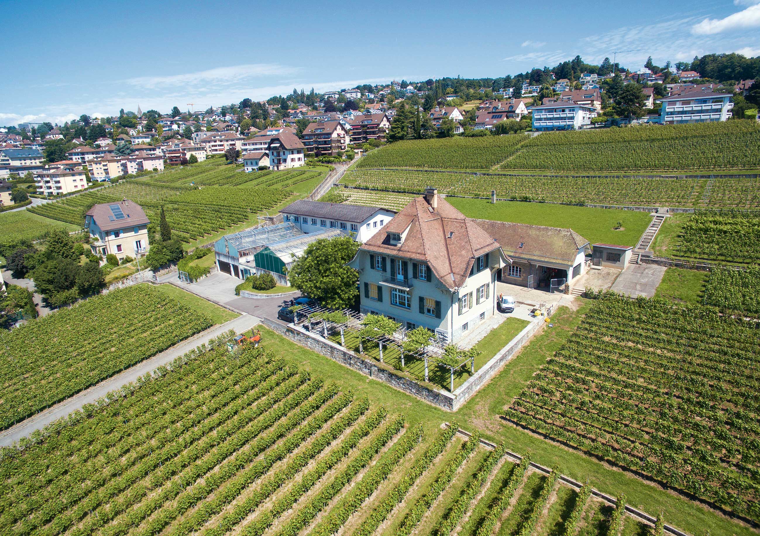Cent ans de recherche viticole au Centre du Caudoz à Pully (VD)