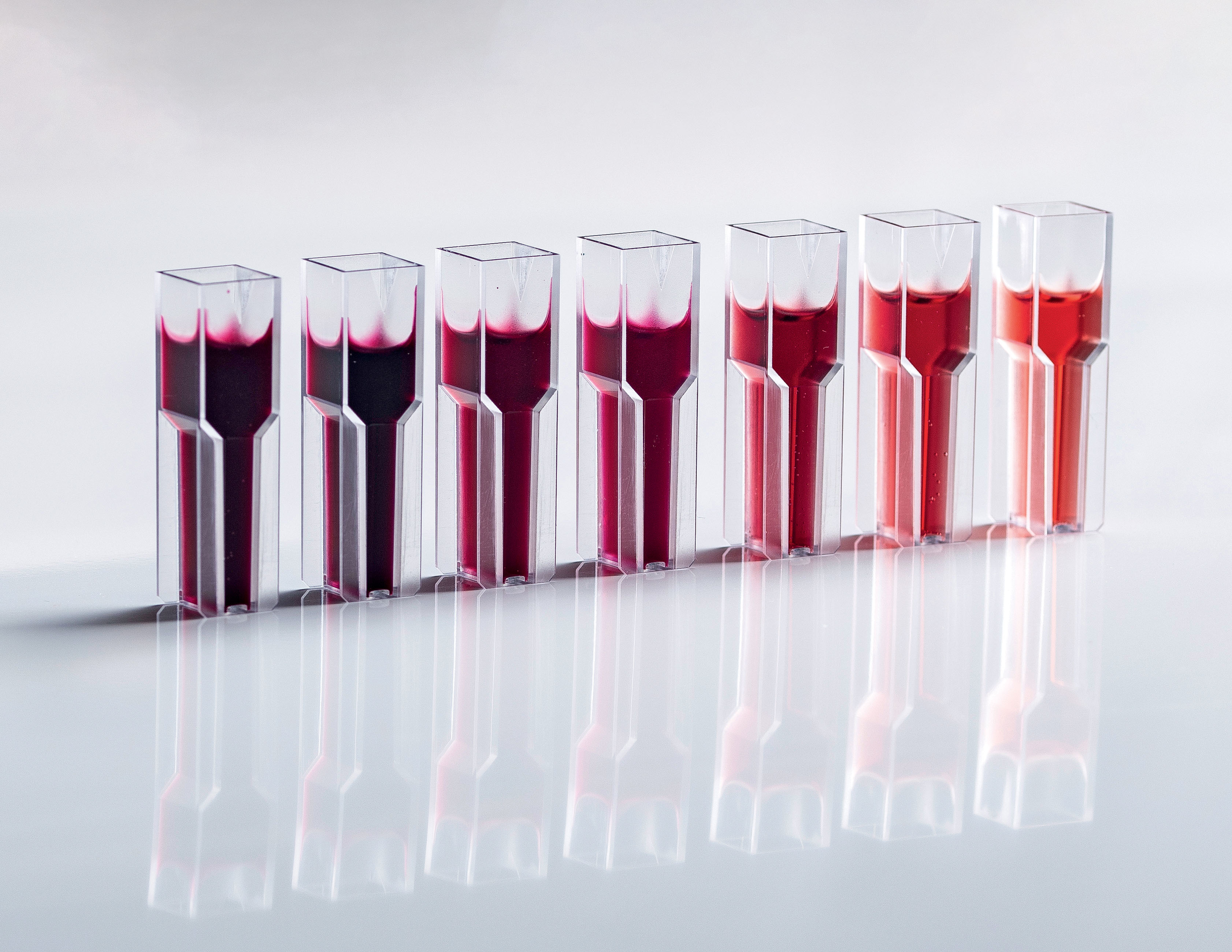 Mit Hilfe von spektroskopischen Methoden kann die Konzentration von Polyphenolen in Rotwein ohne aufwändige Geräte abgeschätzt werden.