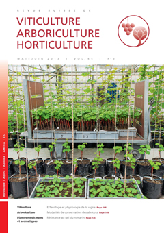 Issue 3 - May - June 2013