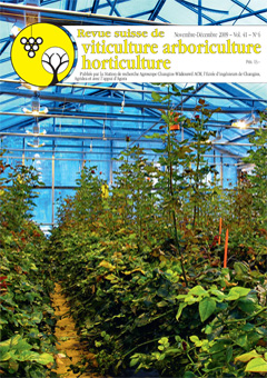 Issue 6 - November - December 2009