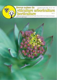 Issue 5 / September - October 2009