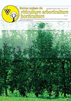 Issue 5 - September - October 2008