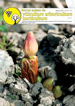 Issue 3 / May - June 2008