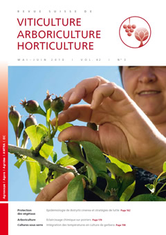 Issue 3 / May - June 2010