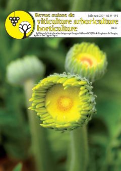 Issue 4 / July - August 2007