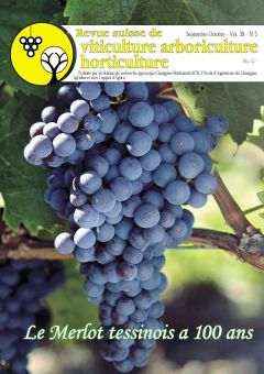 Issue 5 / September - October 2006