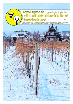 Issue 6 / November - December 2005
