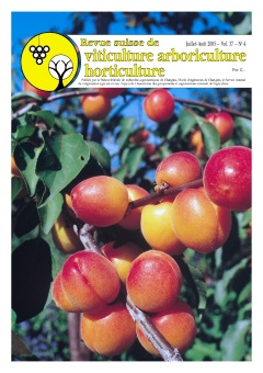 Issue 4 - July - August 2005