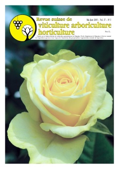 Issue 3 - May - June 2005
