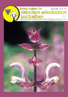 Issue 3 / May - June 2004