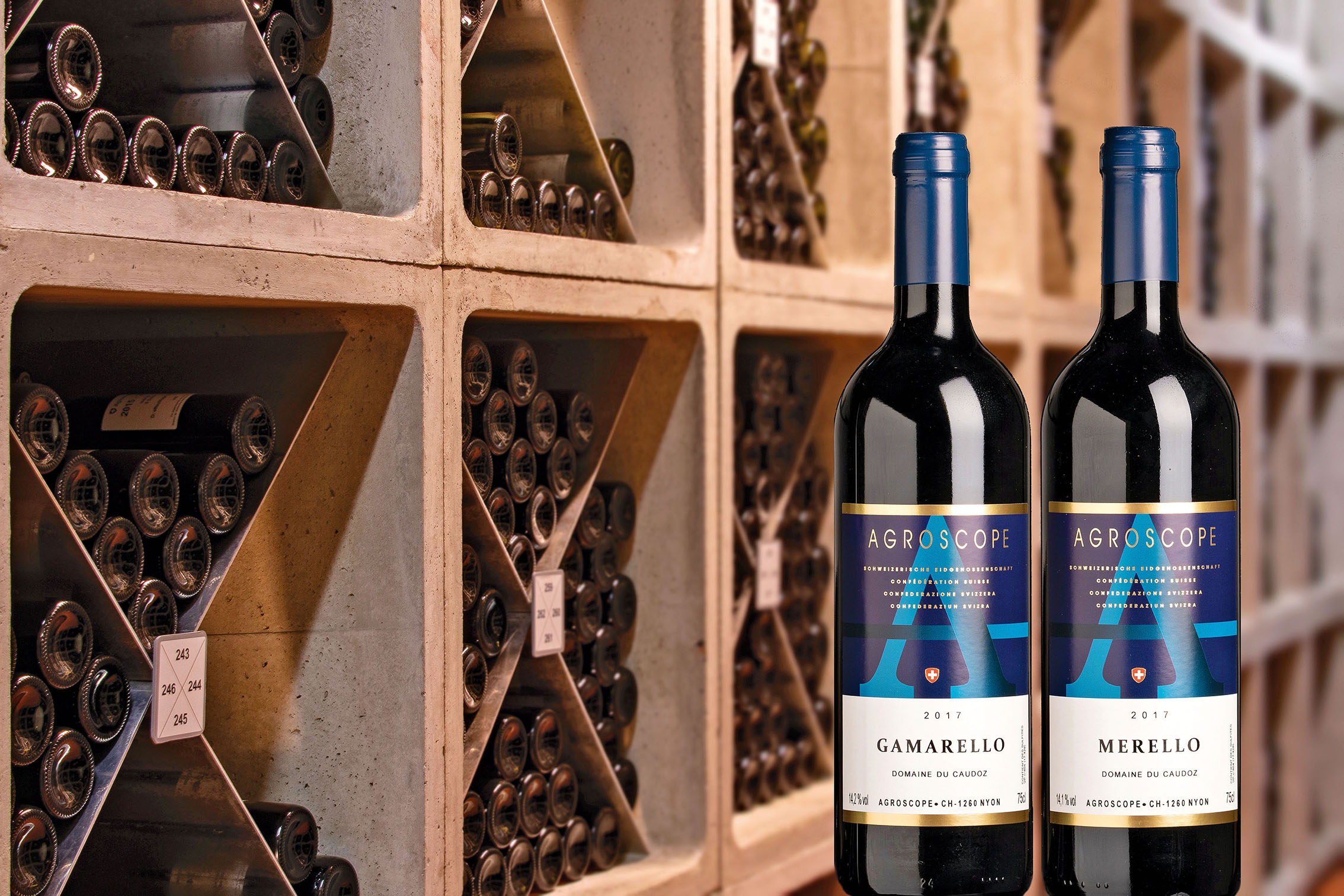 Influence de la durée de macération sur la qualité et le potentiel de garde des vins issus de Merello et Gamarello