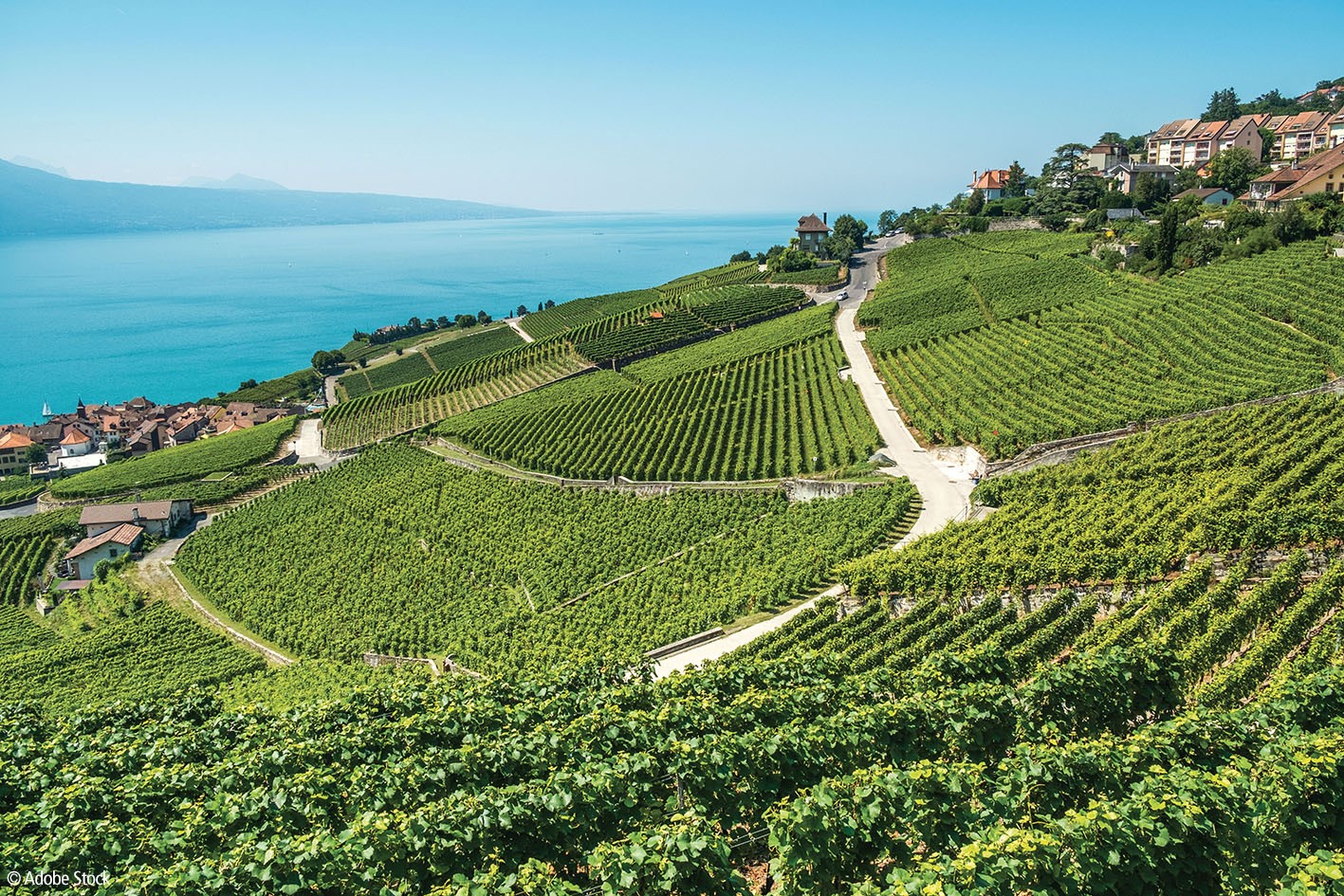 A study of terroirs in Villette (Lavaux, VD)